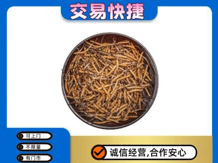 泸州高价回收散虫草